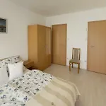 Lejlighed Hajnalhaz