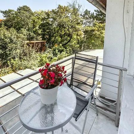 Apartment Hajnalhaz